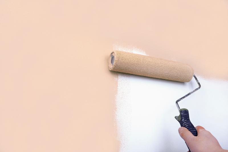 Les secrets d'application des peintures végétales pour un intérieur sain